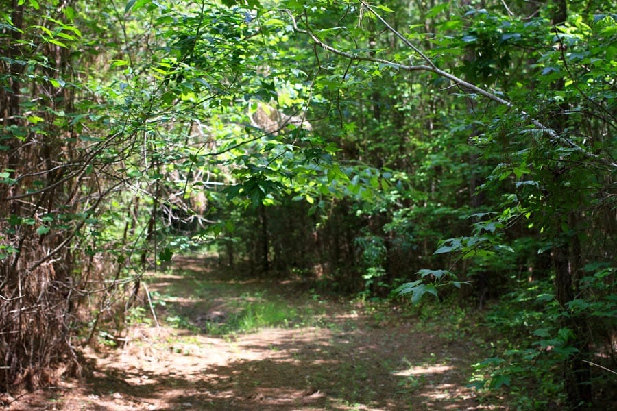 Bluebird Ranch Tract 5 photo 1