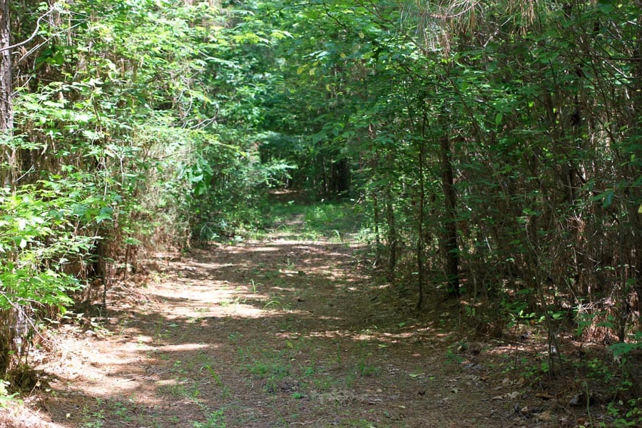 Bluebird Ranch Tract 5 photo 4