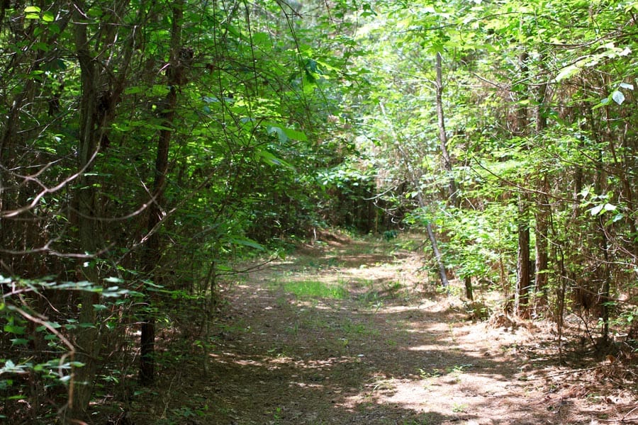 Bluebird Ranch Tract 5 photo 6