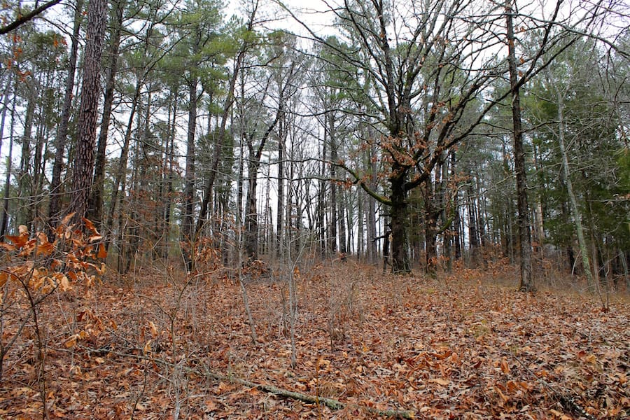 The Tennessean Tract 28 photo 2