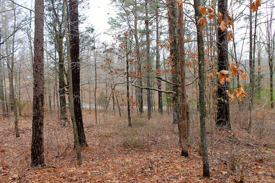 The Tennessean Tract 28 photo 7