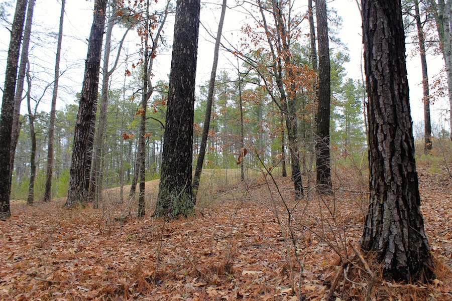 The Tennessean Tract 28 photo 8