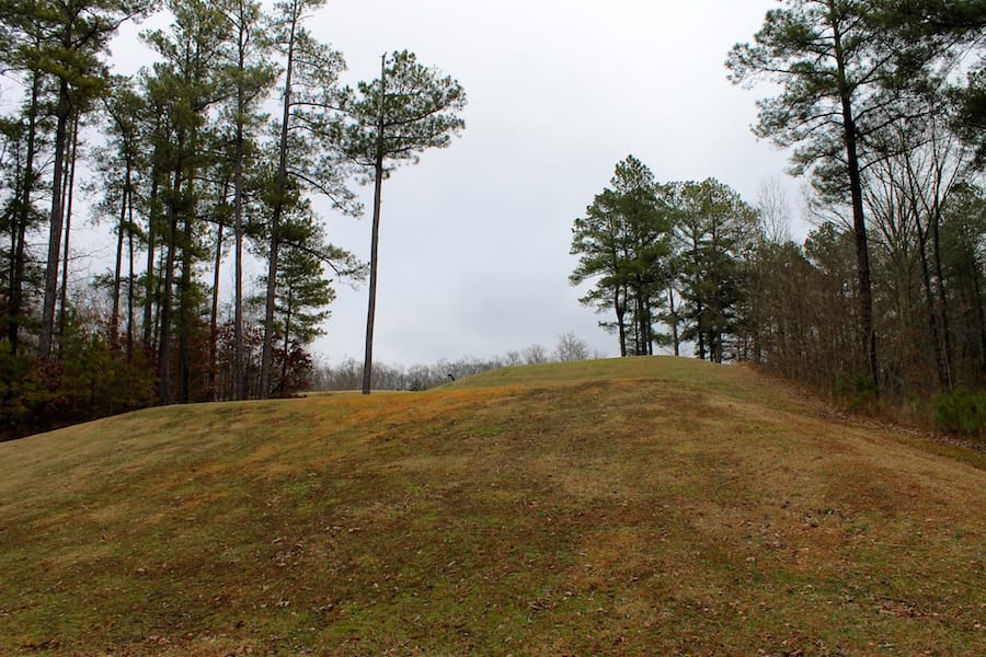The Tennessean Tract 28 photo 9
