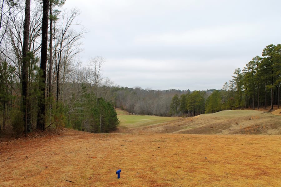 The Tennessean Tract 28 photo 10