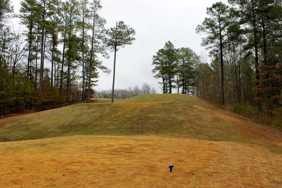 The Tennessean Tract 28 photo 12