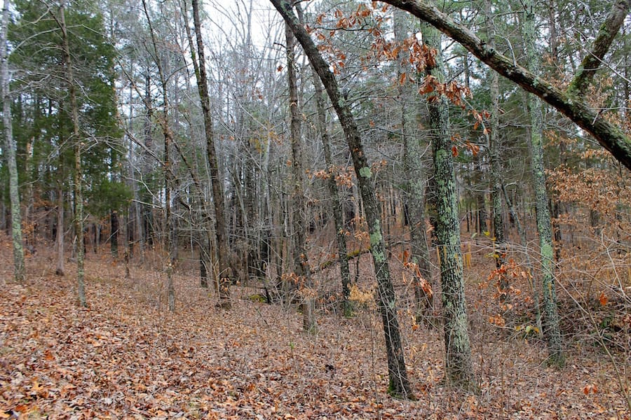 The Tennessean Tract 28 photo 13