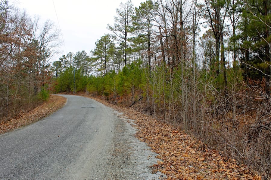 The Tennessean Tract 28 photo 1