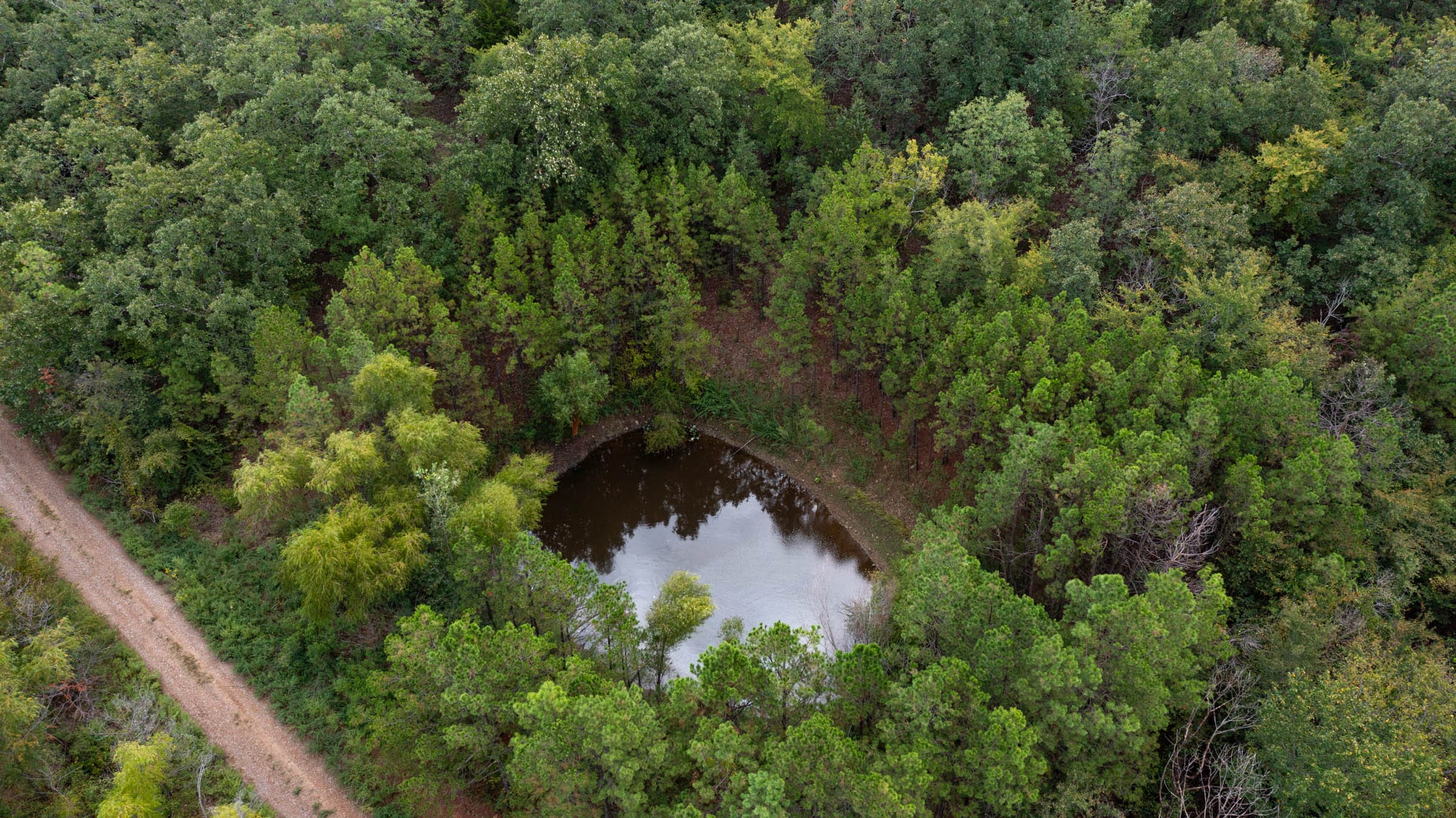Stone Bridge Phase V Tract 332 photo 6