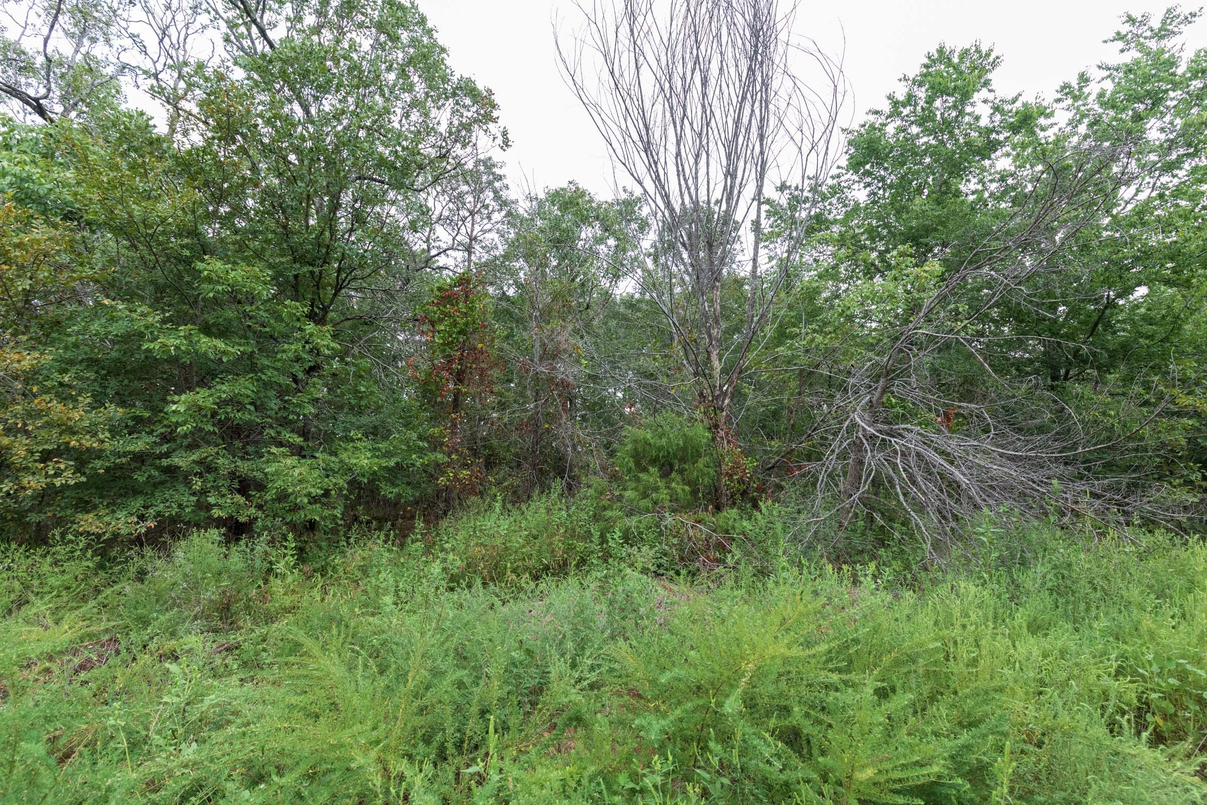 Stone Bridge Phase V Tract 332 photo 10