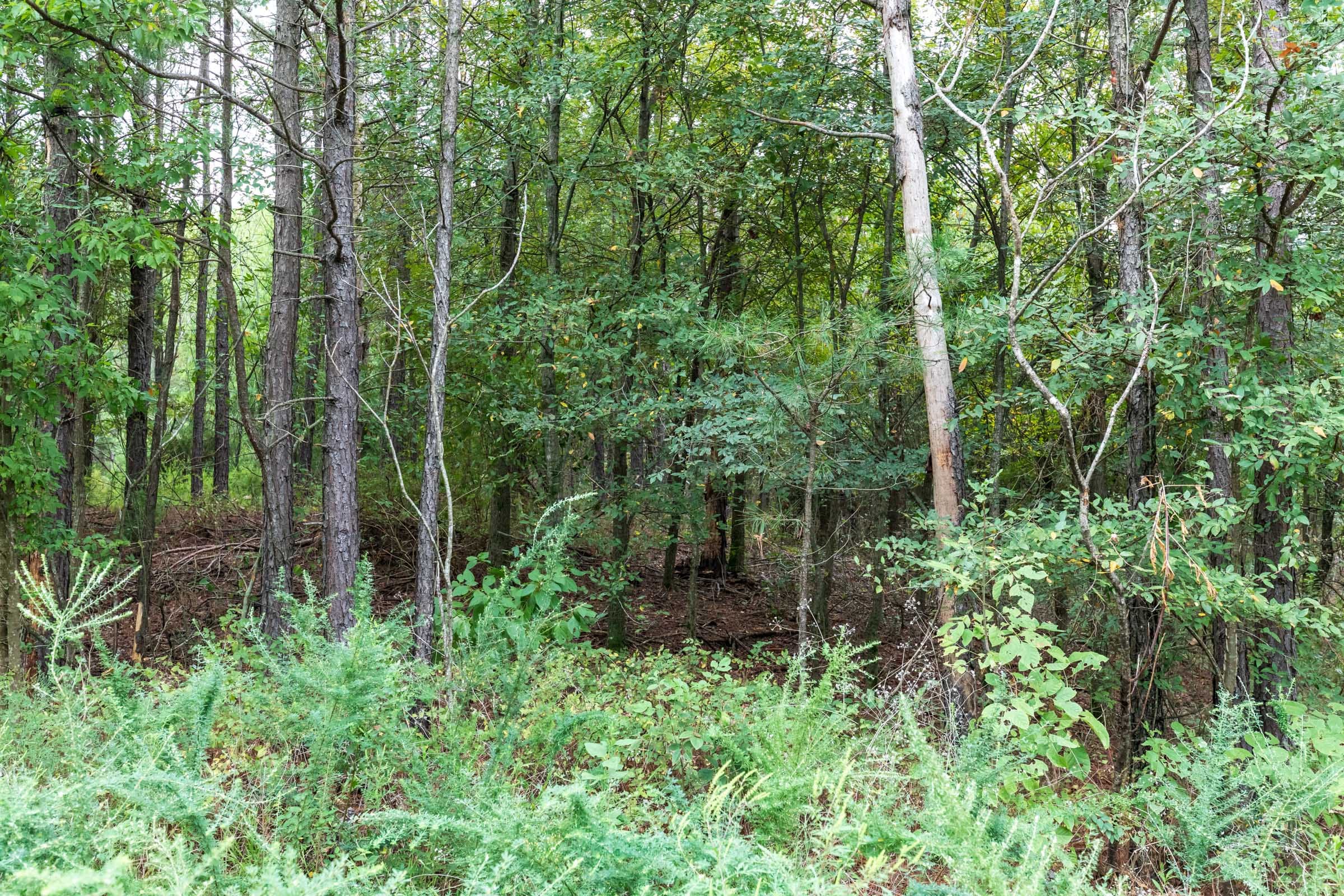 Stone Bridge Phase V Tract 332 photo 12