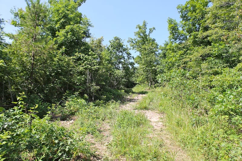 Green Mountain Ranch Tract 39 photo 9