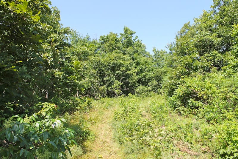 Green Mountain Ranch Tract 39 photo 15