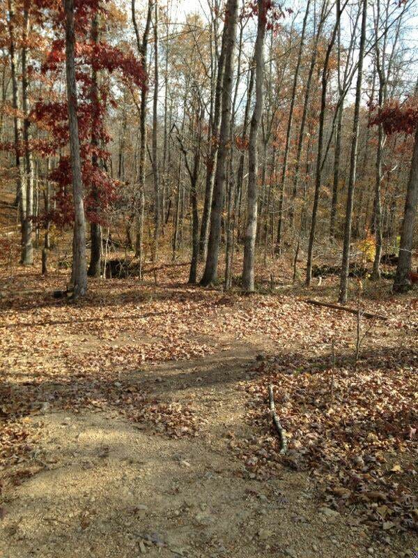 Sugartree Falls Tract 4 photo 1