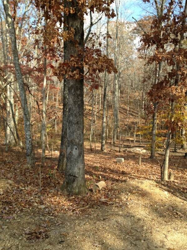 Sugartree Falls Tract 4 photo 3