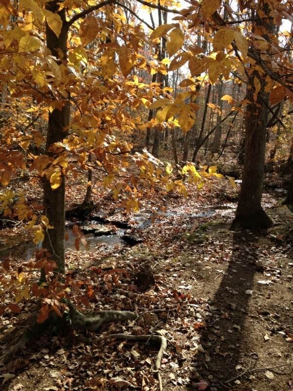 Sugartree Falls Tract 4 photo 4