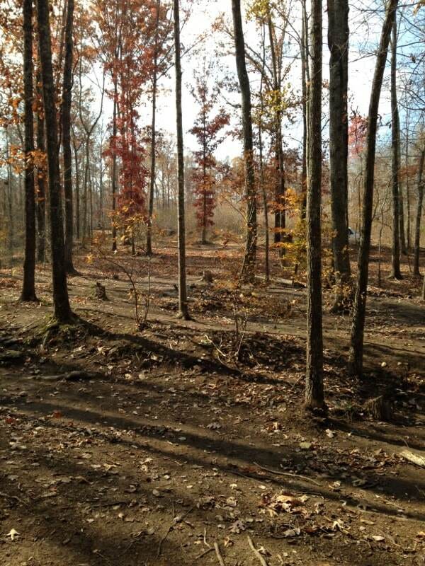 Sugartree Falls Tract 4 photo 5