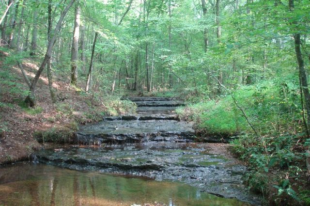 Sugartree Falls Tract 4 photo 9