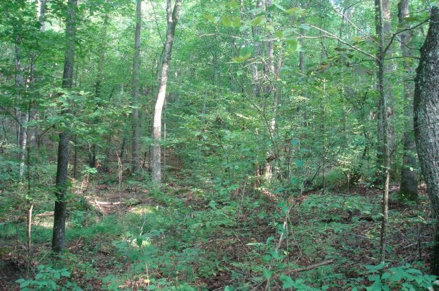 Sugartree Falls Tract 4 photo 11
