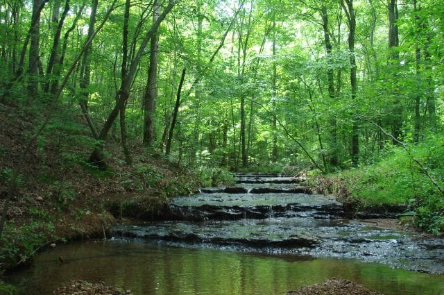 Sugartree Falls Tract 4 photo 16