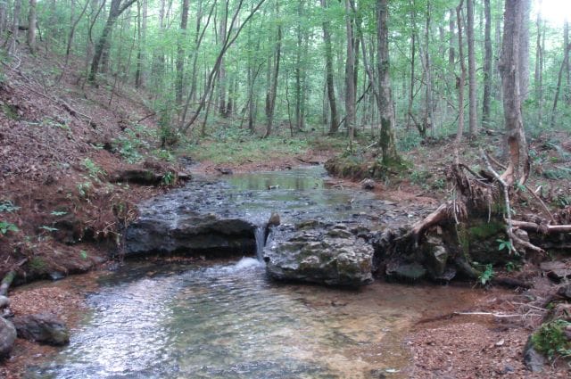 Sugartree Falls Tract 4 photo 19