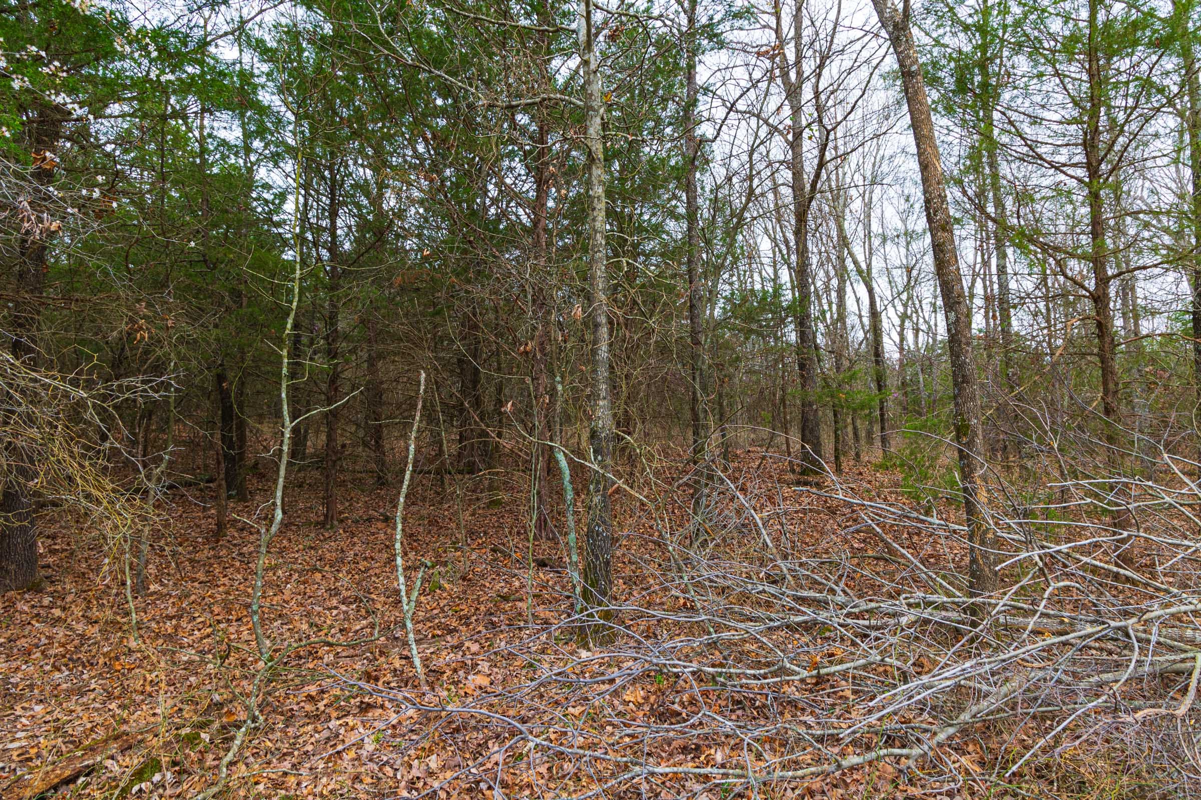 Reserves At Cattail Cove Phase I Tract 18 photo 17