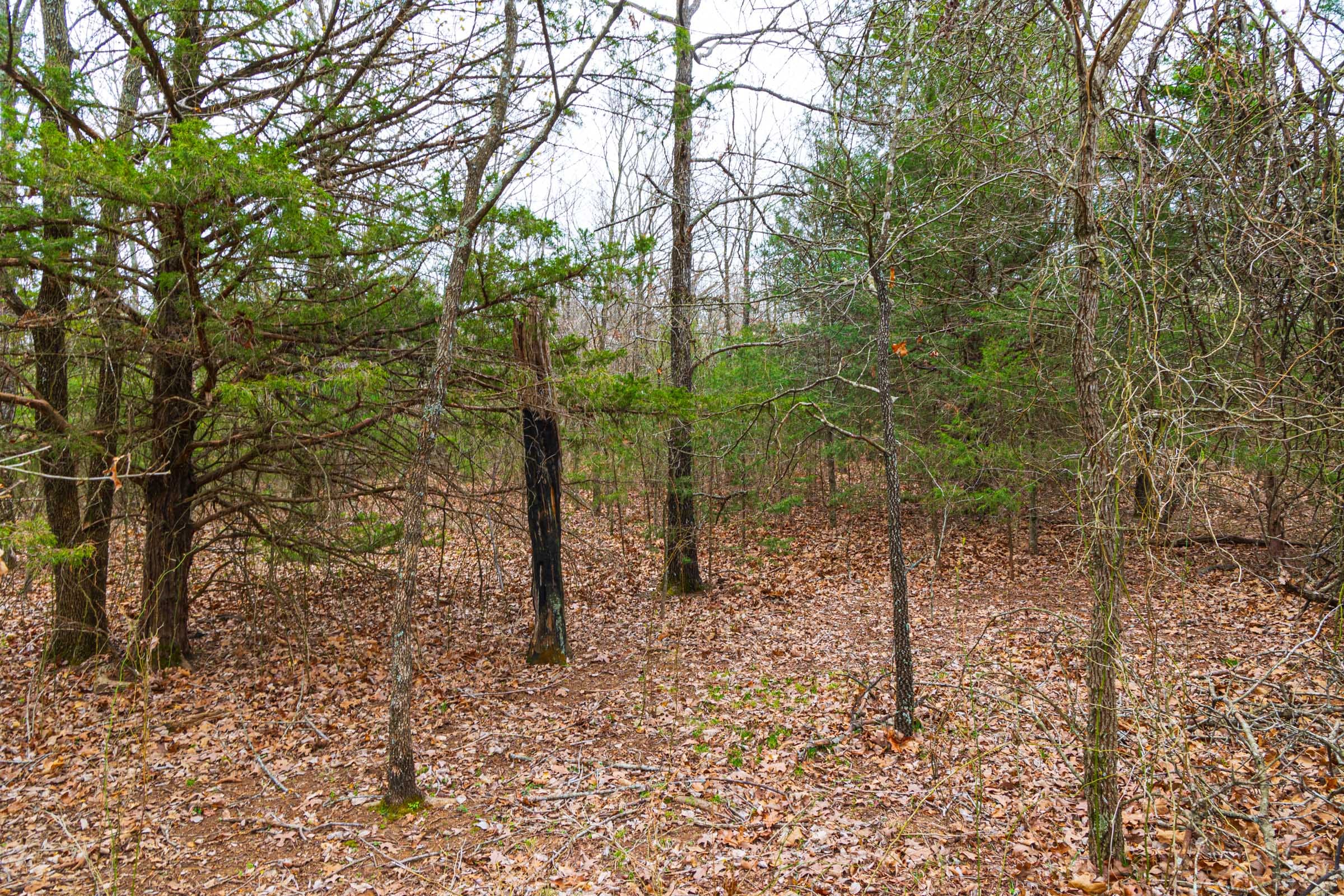 Reserves At Cattail Cove Phase I Tract 18 photo 16