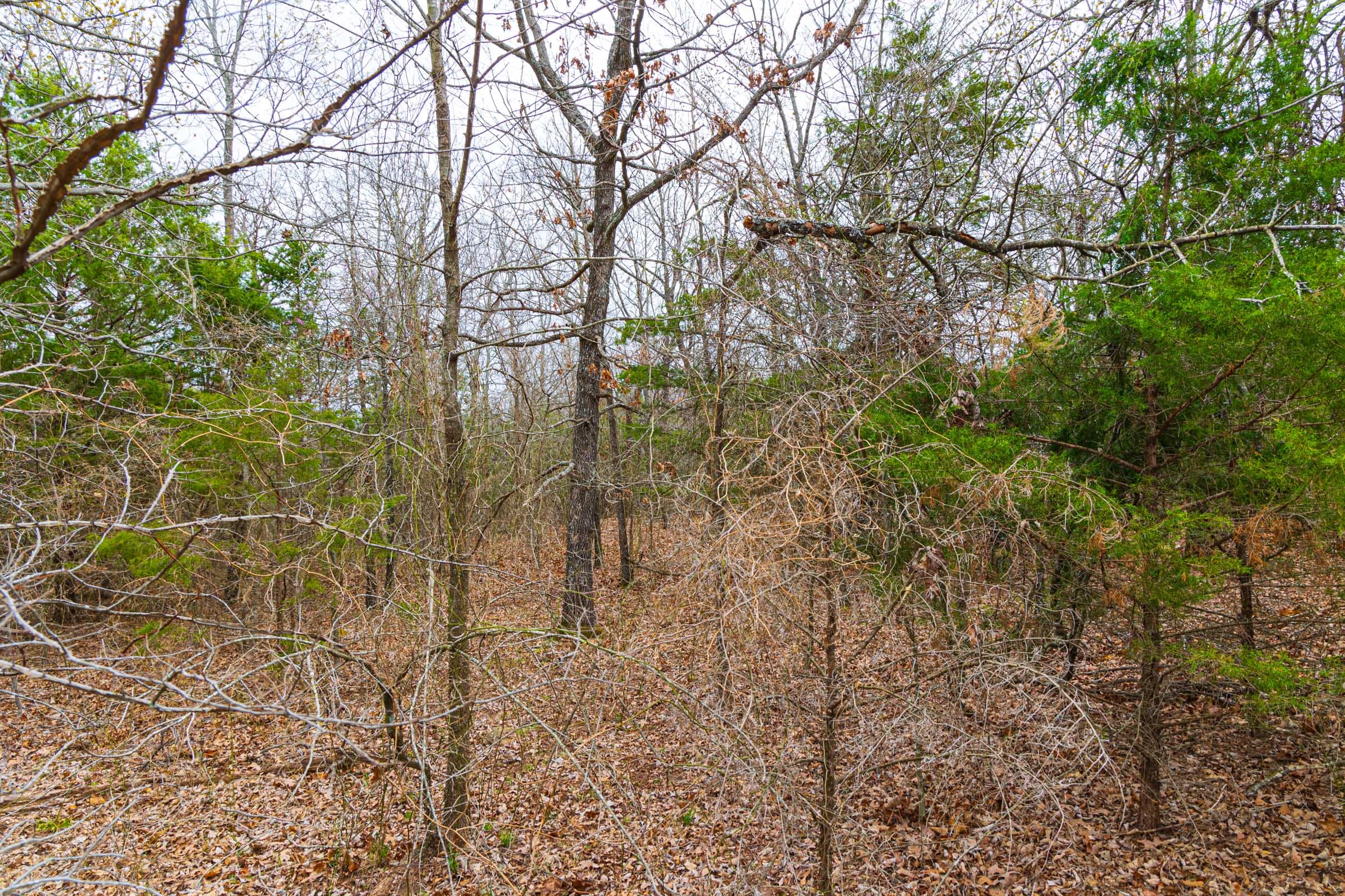 Reserves At Cattail Cove Phase I Tract 18 photo 15