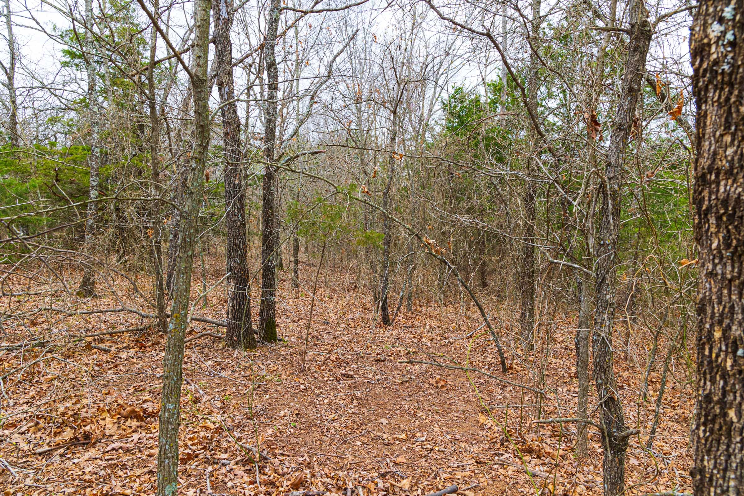 Reserves At Cattail Cove Phase I Tract 18 photo 12