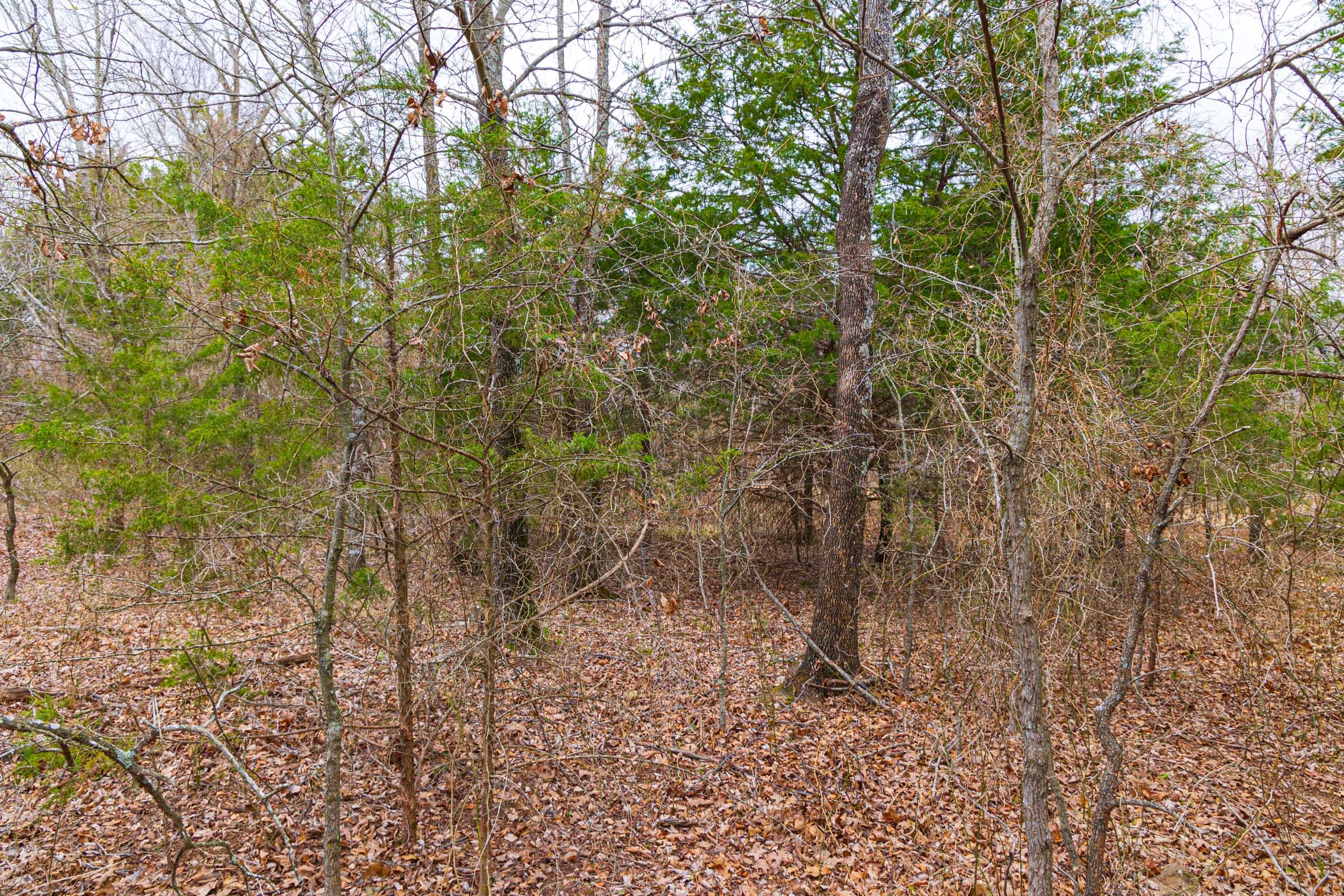 Reserves At Cattail Cove Phase I Tract 18 photo 11