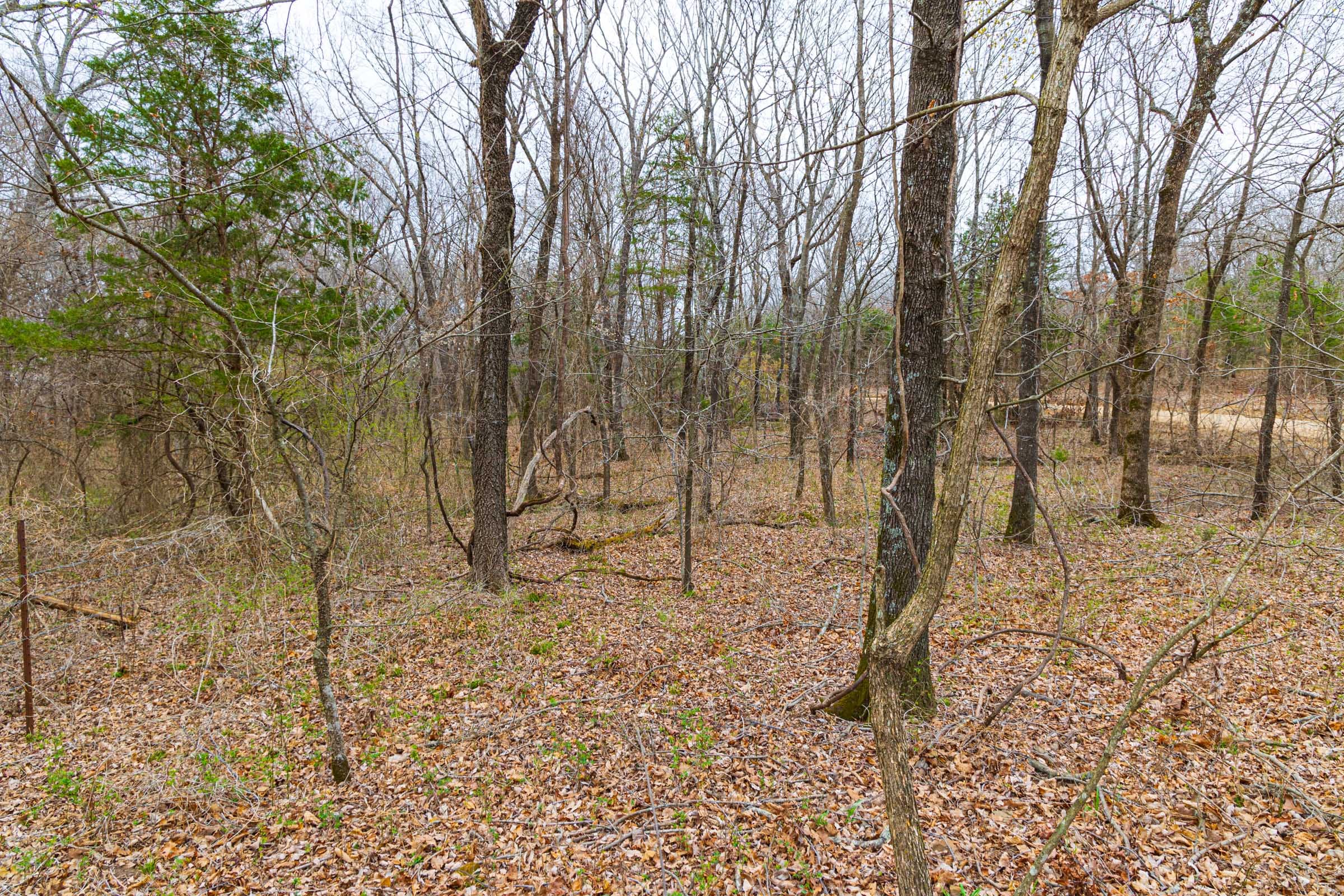 Reserves At Cattail Cove Phase I Tract 18 photo 9