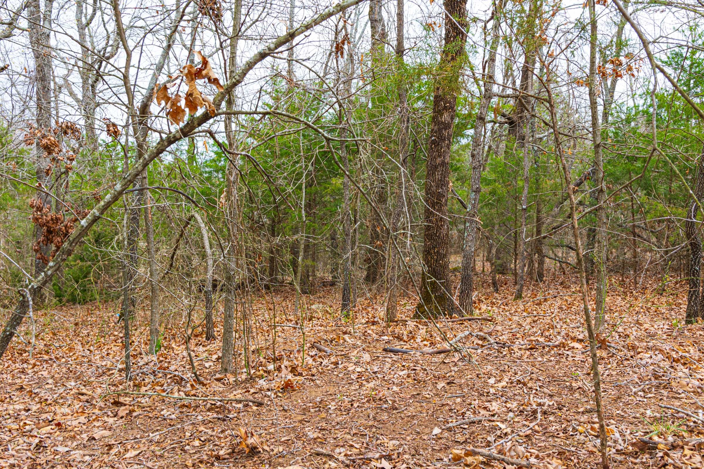 Reserves At Cattail Cove Phase I Tract 18 photo 8