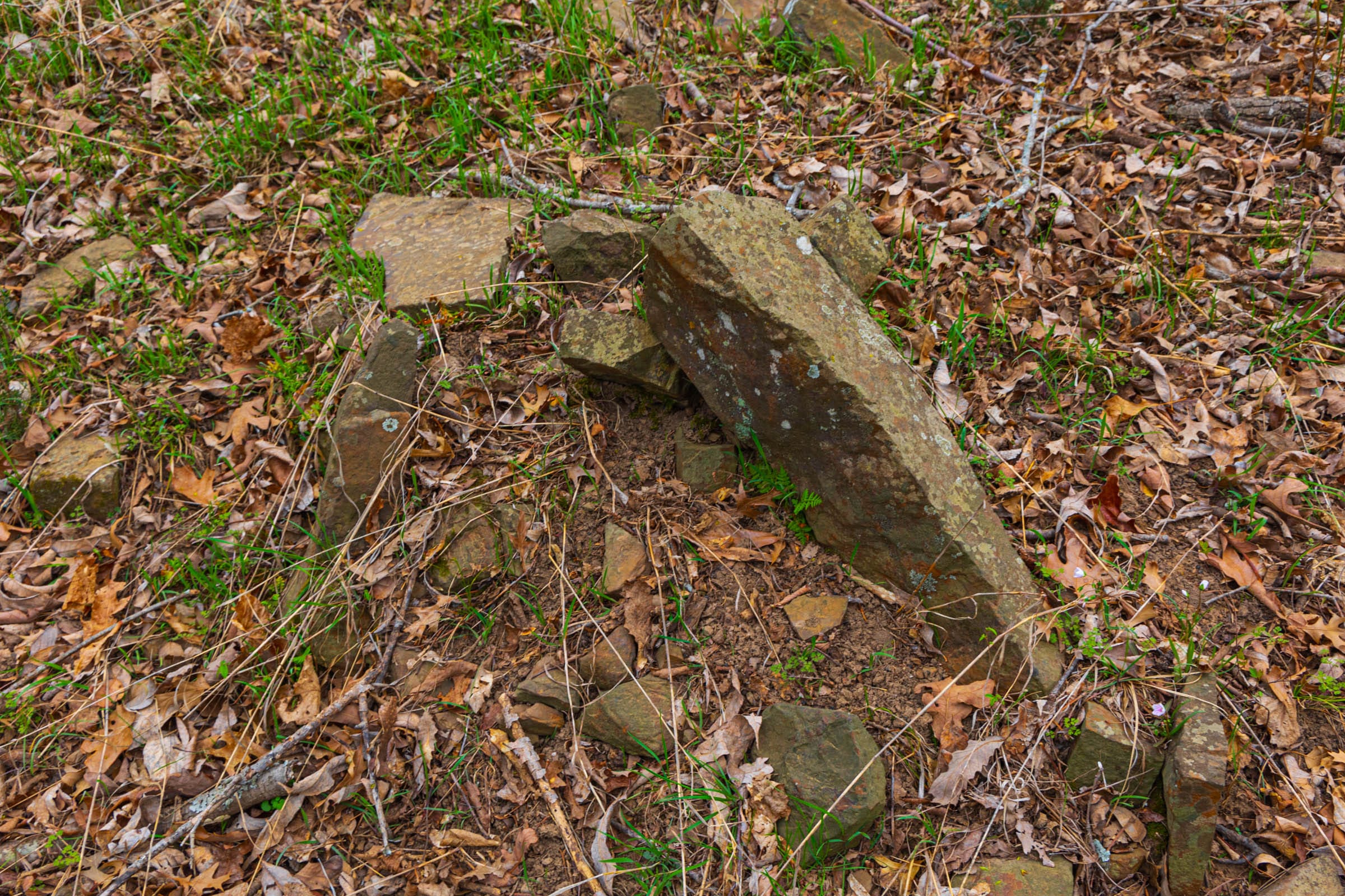 Reserves At Cattail Cove Phase I Tract 18 photo 7