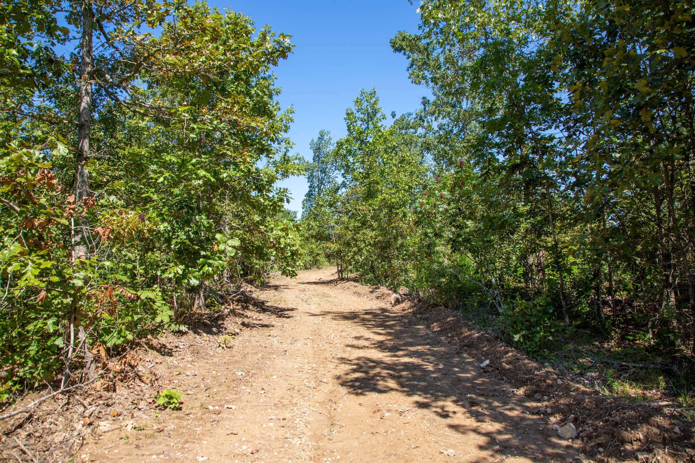 Borgmann’s Hollow Phase II Tract 55 photo 1