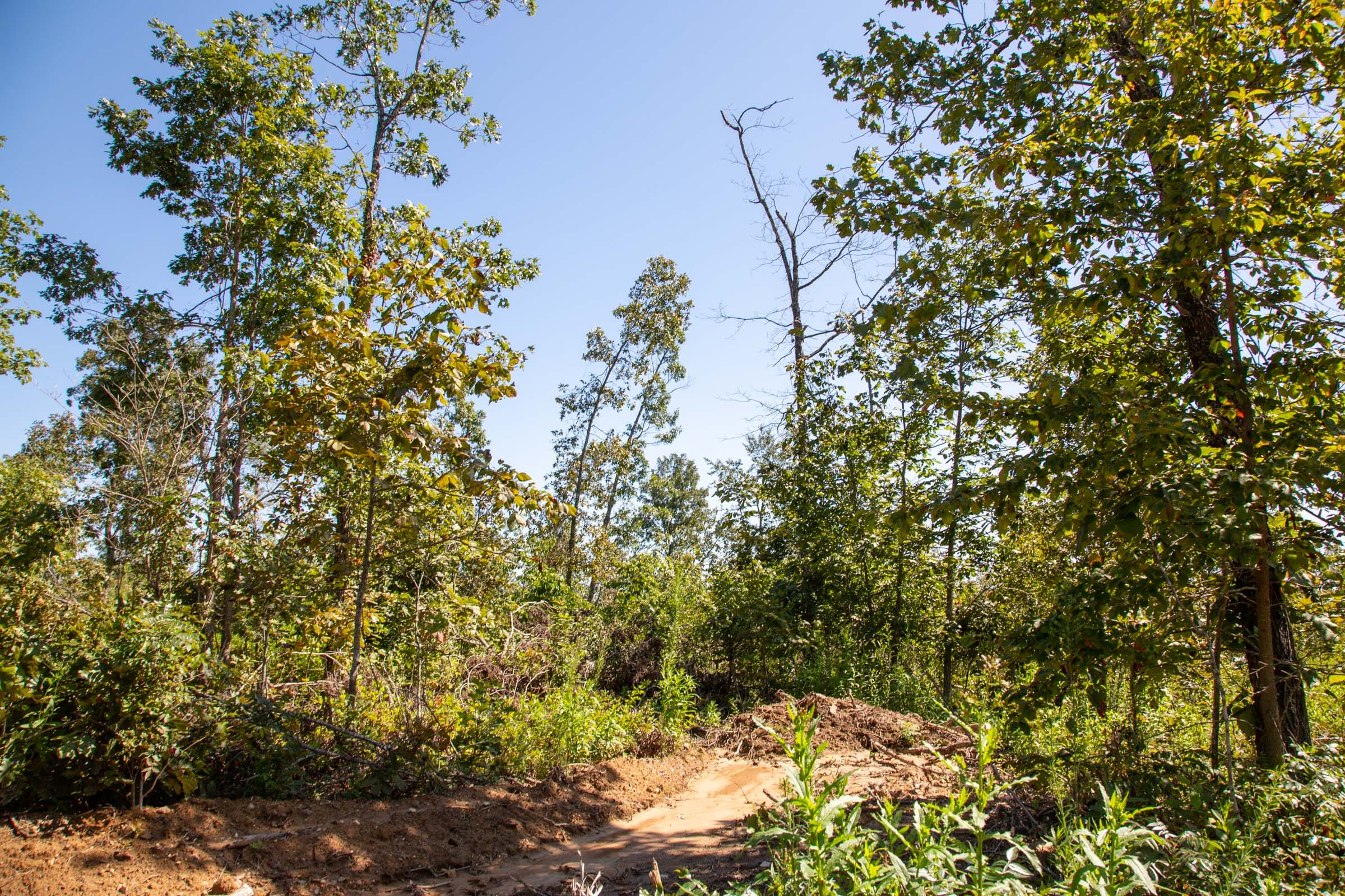 Borgmann’s Hollow Phase II Tract 55 photo 3