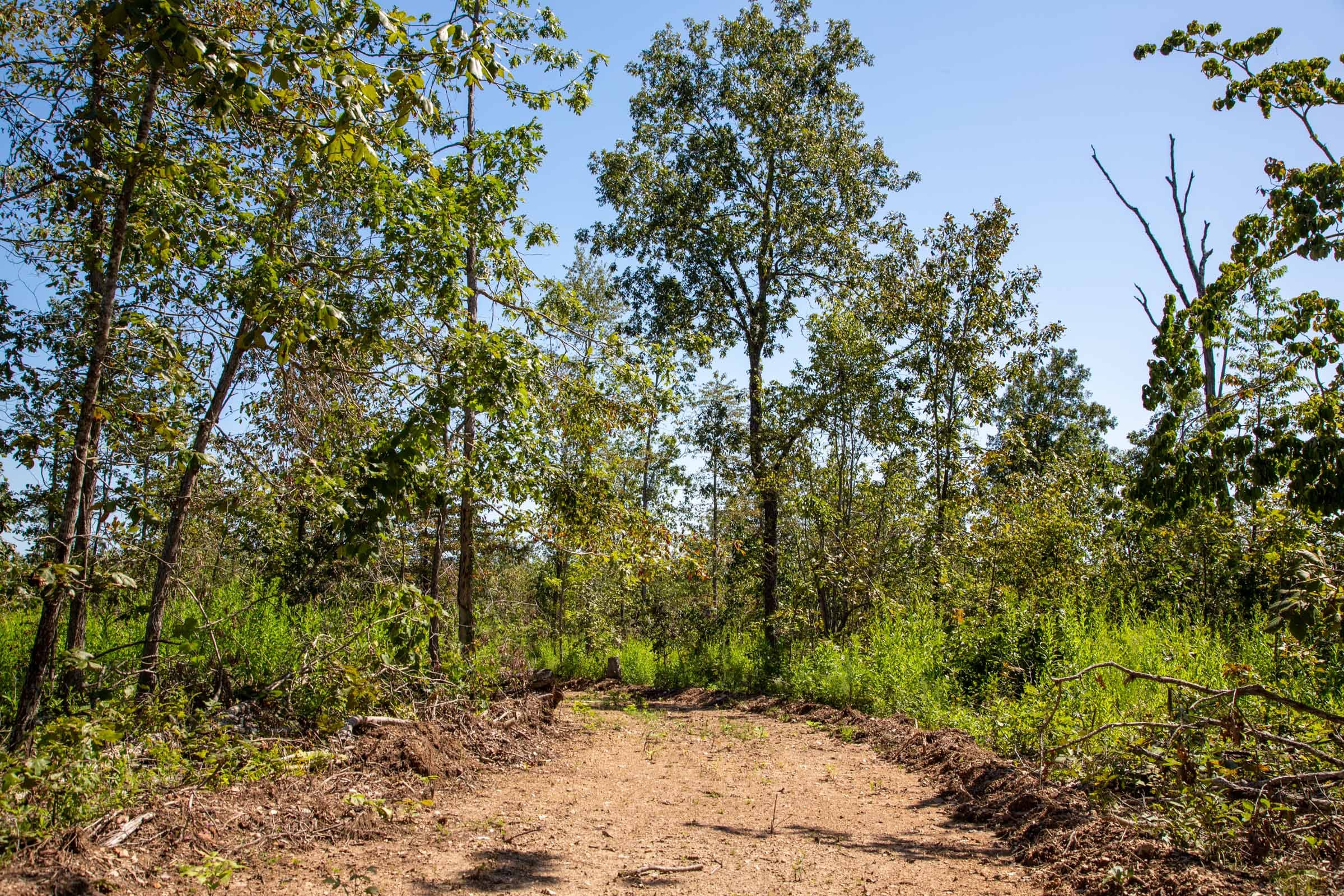 Borgmann’s Hollow Phase II Tract 55 photo 5