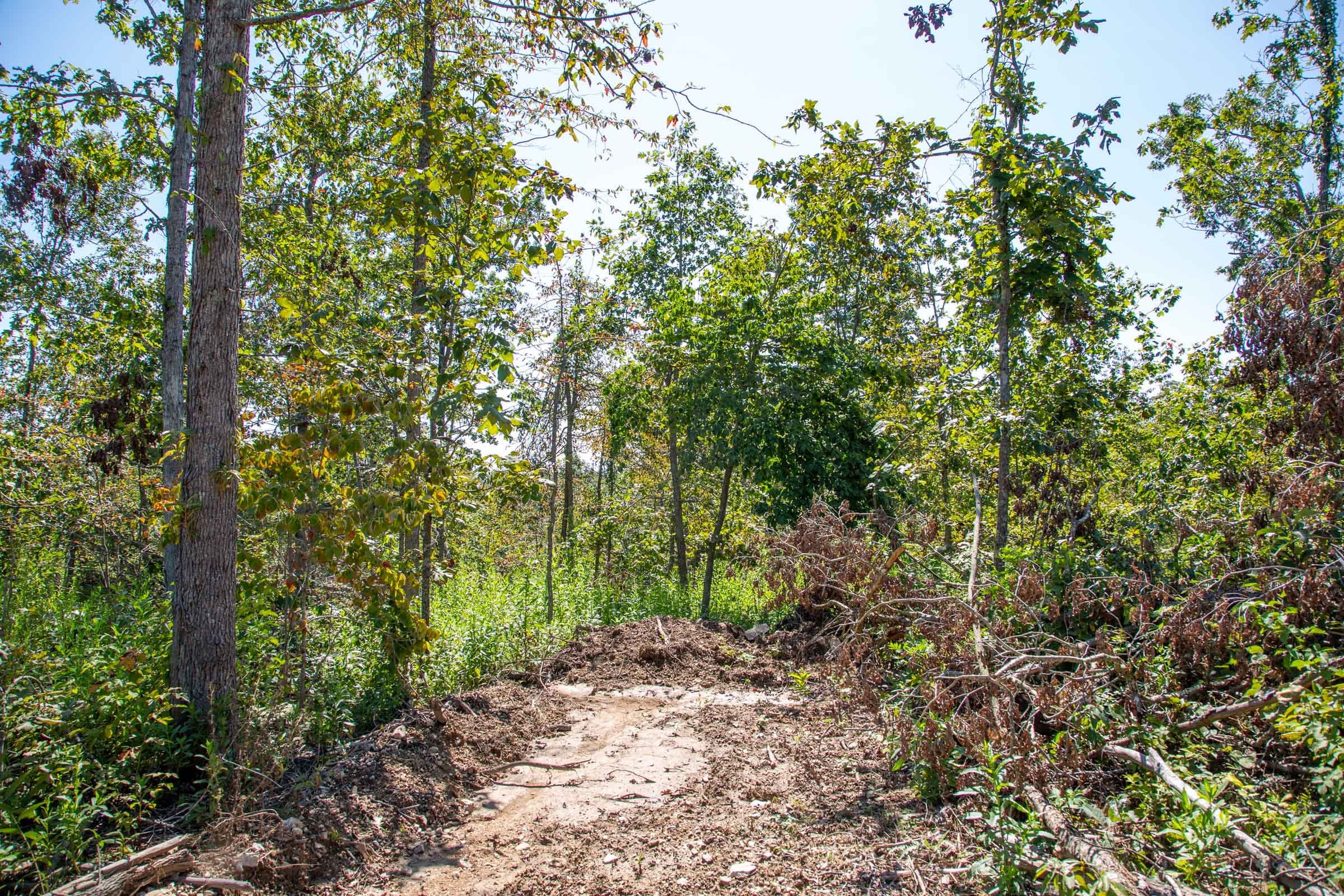 Borgmann’s Hollow Phase II Tract 55 photo 9