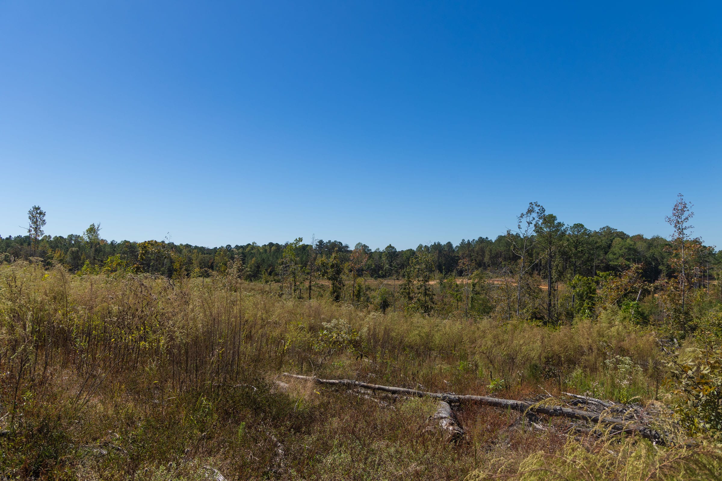 Meyer’s Ridge Tract 9 photo 13