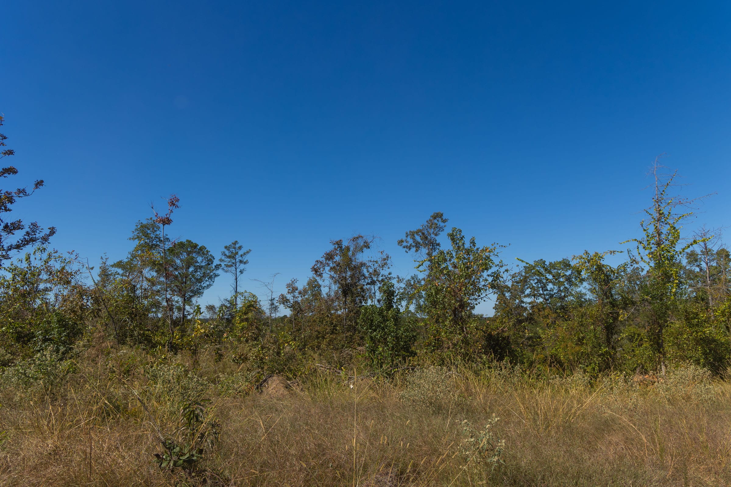 Meyer’s Ridge Tract 9 photo 12