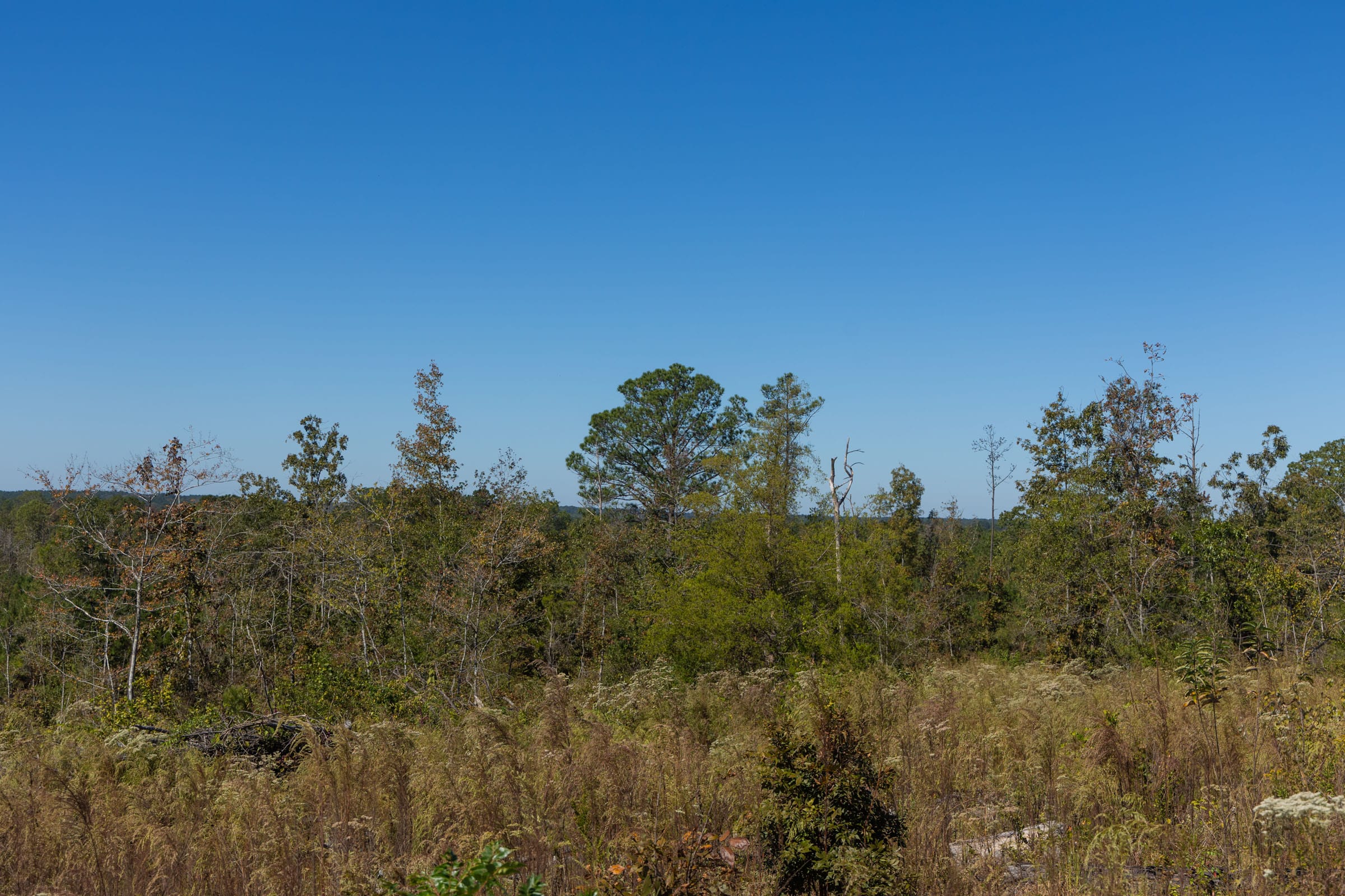 Meyer’s Ridge Tract 9 photo 8