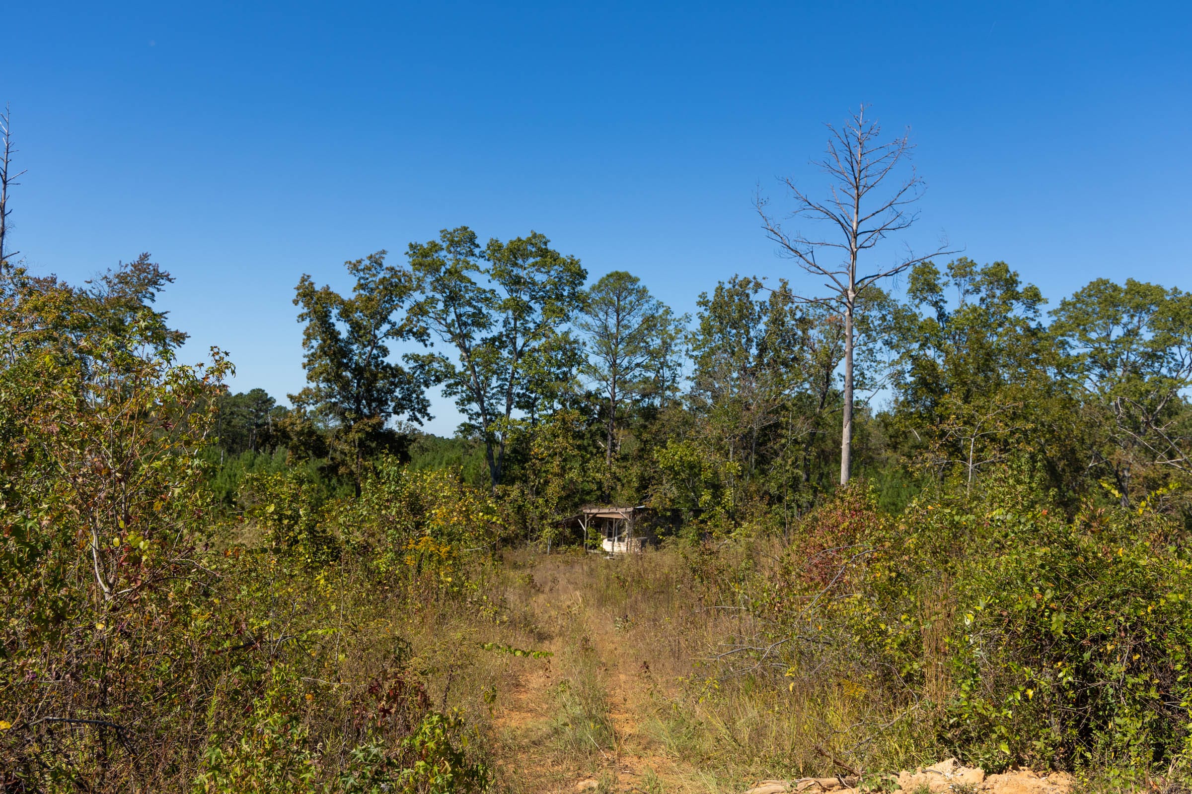 Meyer’s Ridge Tract 9 photo 5
