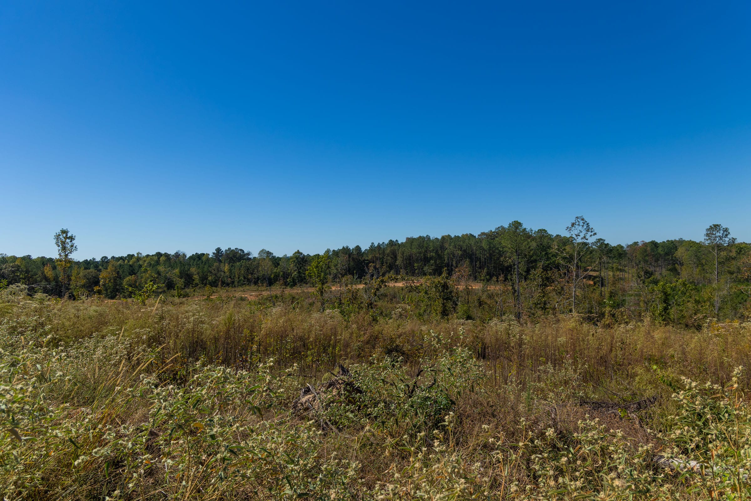 Meyer’s Ridge Tract 9 photo 4
