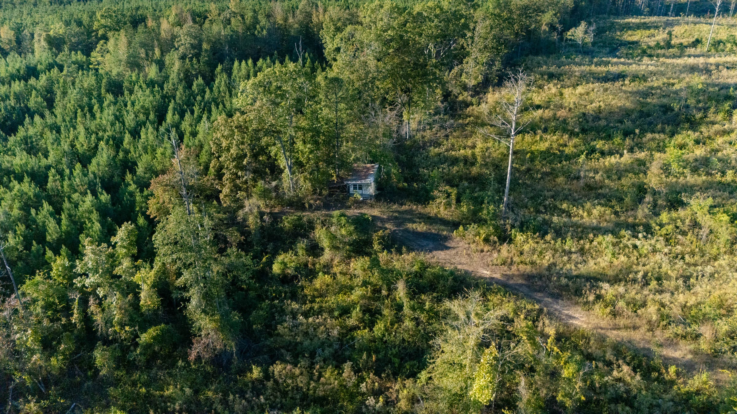 Meyer’s Ridge Tract 9 photo 9