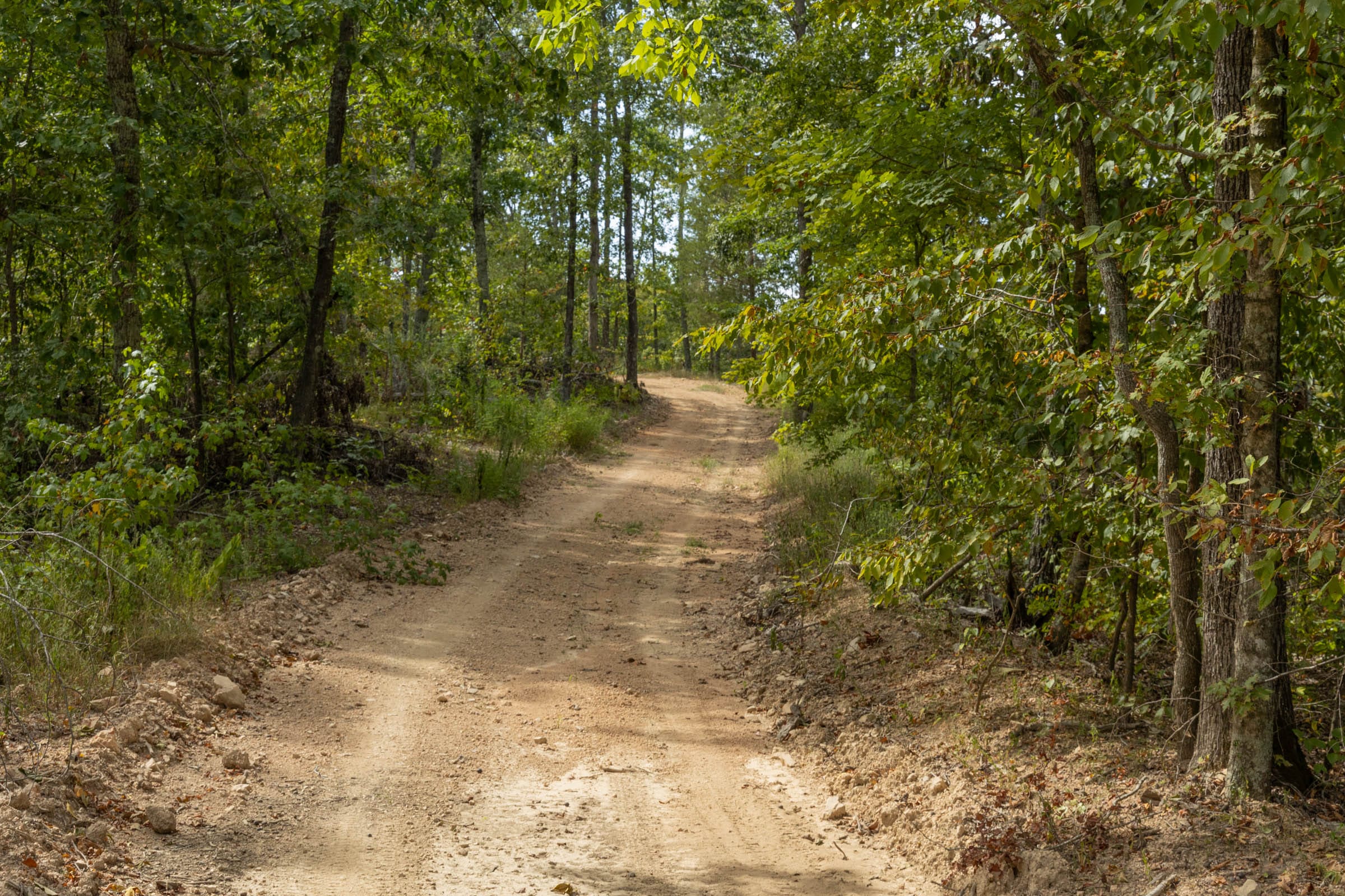 Big White Oak Tract 71 photo 1