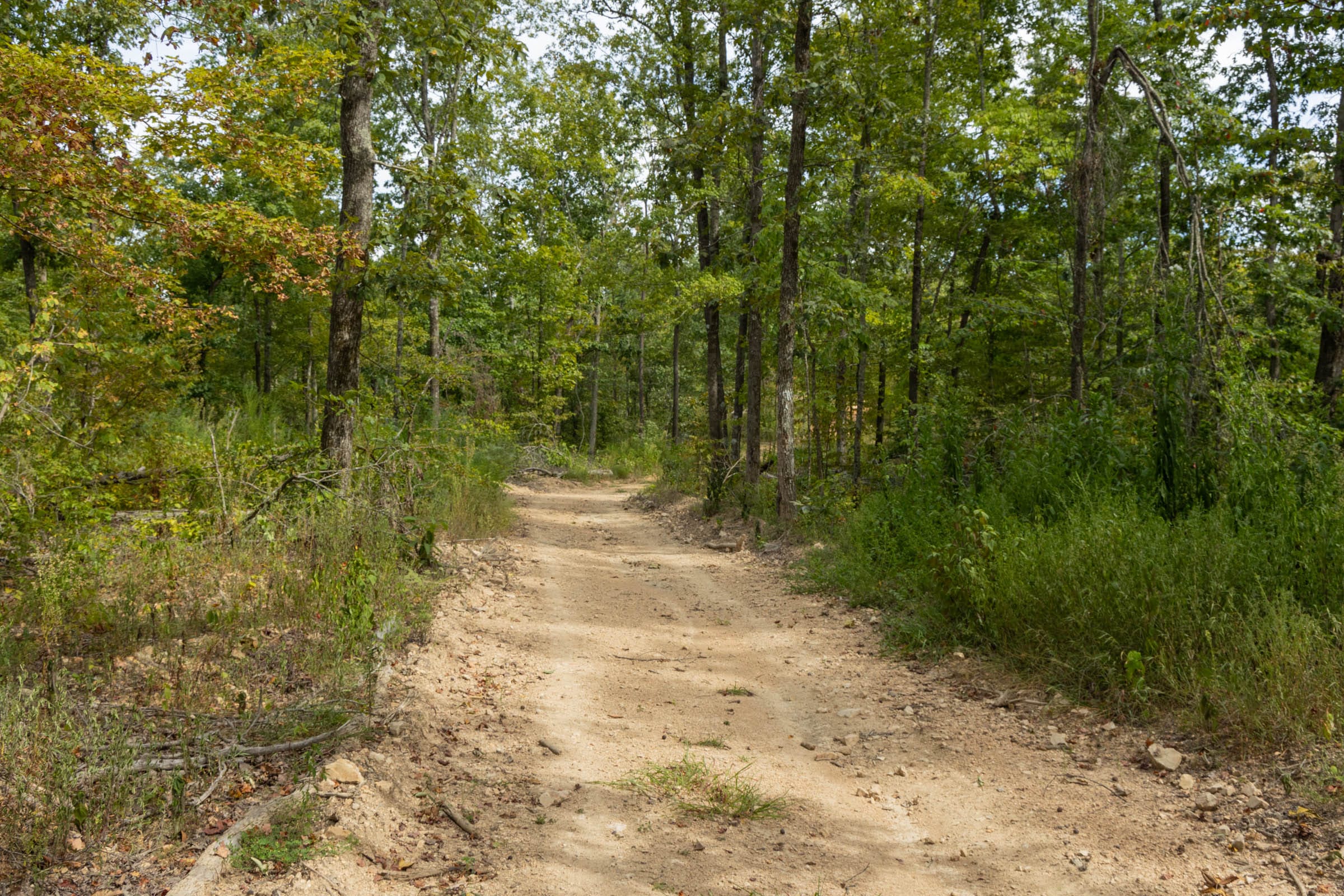 Big White Oak Tract 71 photo 4