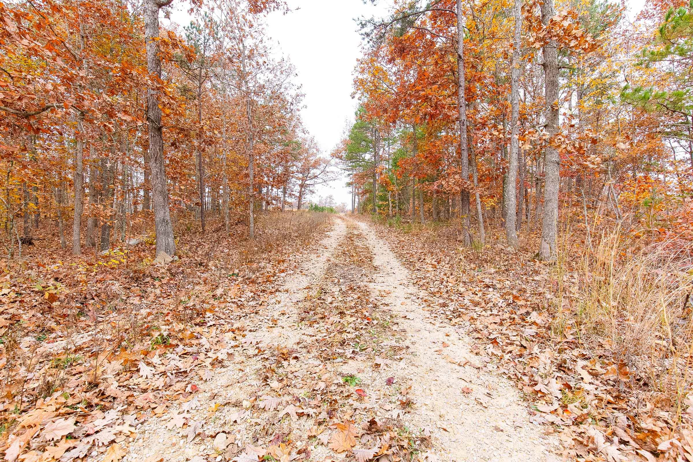 Hawkcrest Tract 12 photo 9