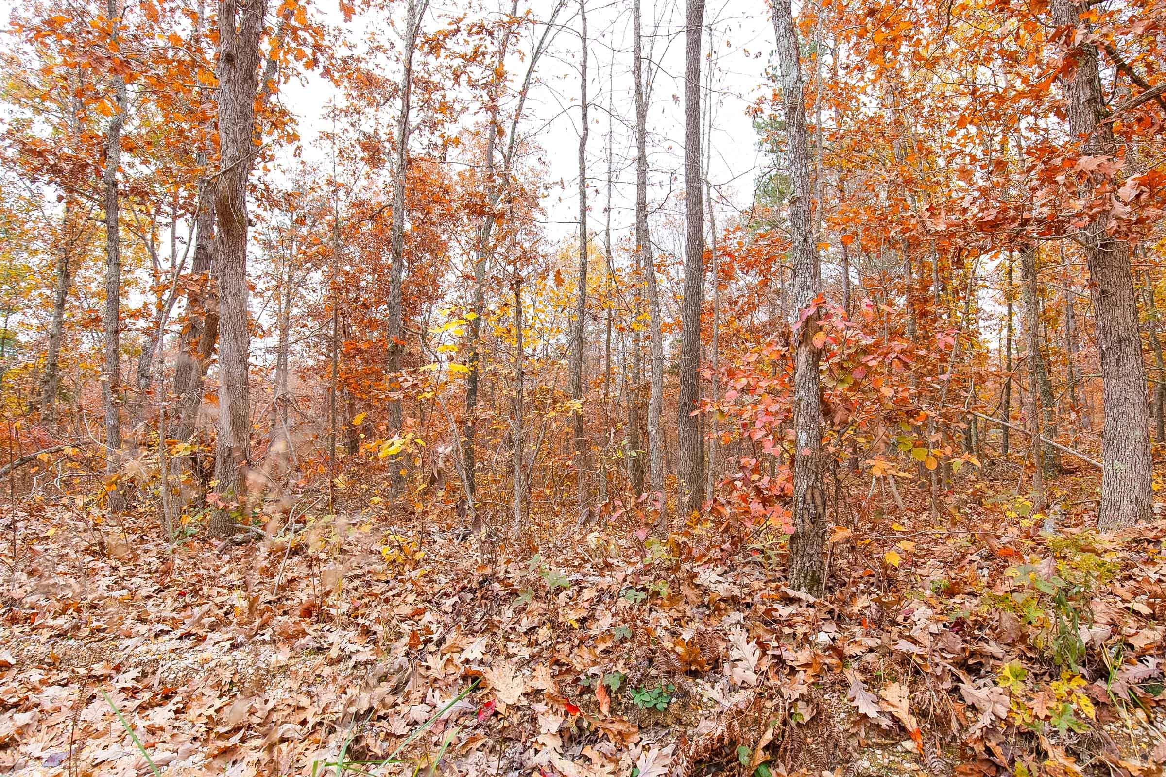 Hawkcrest Tract 12 photo 7