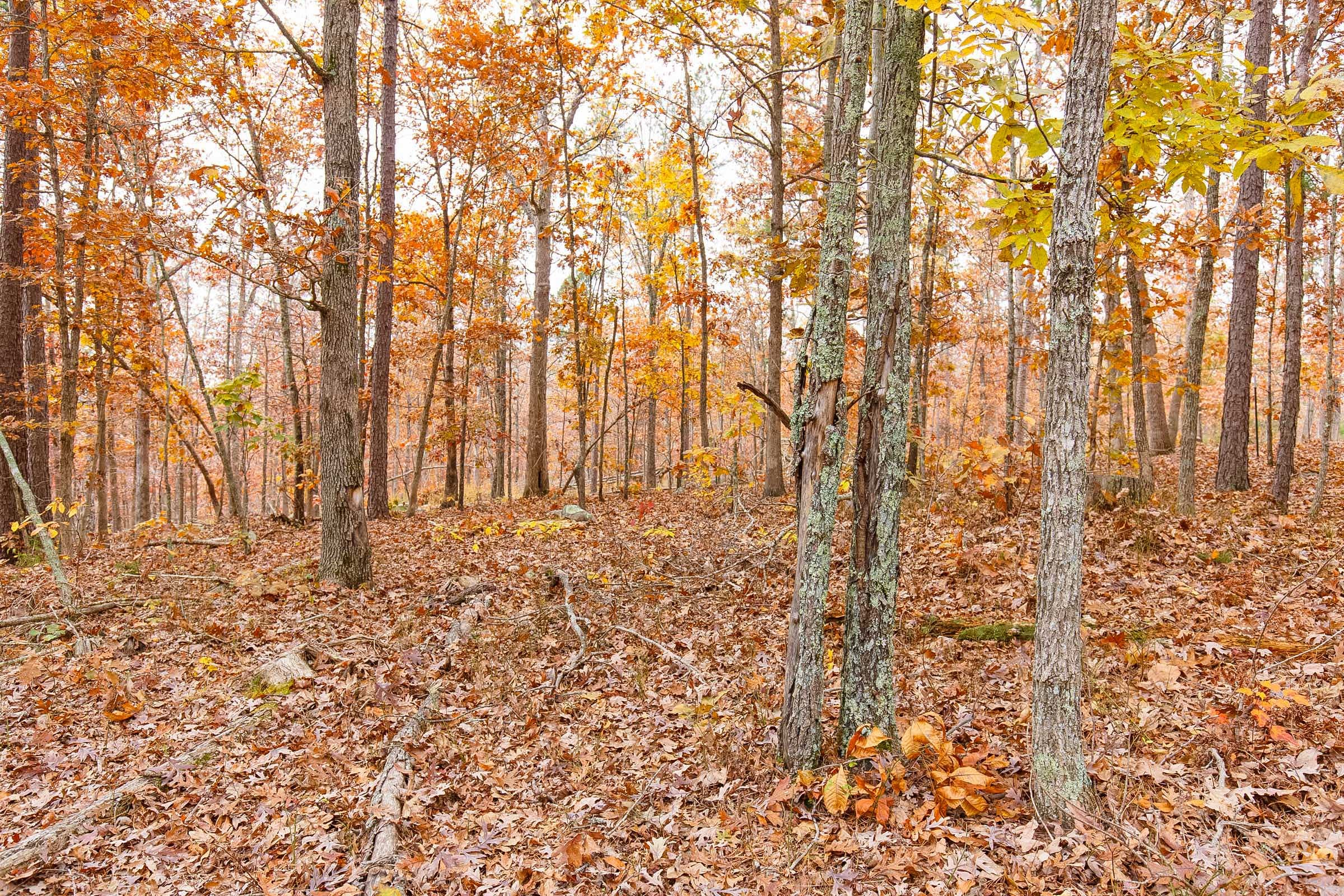 Hawkcrest Tract 12 photo 8