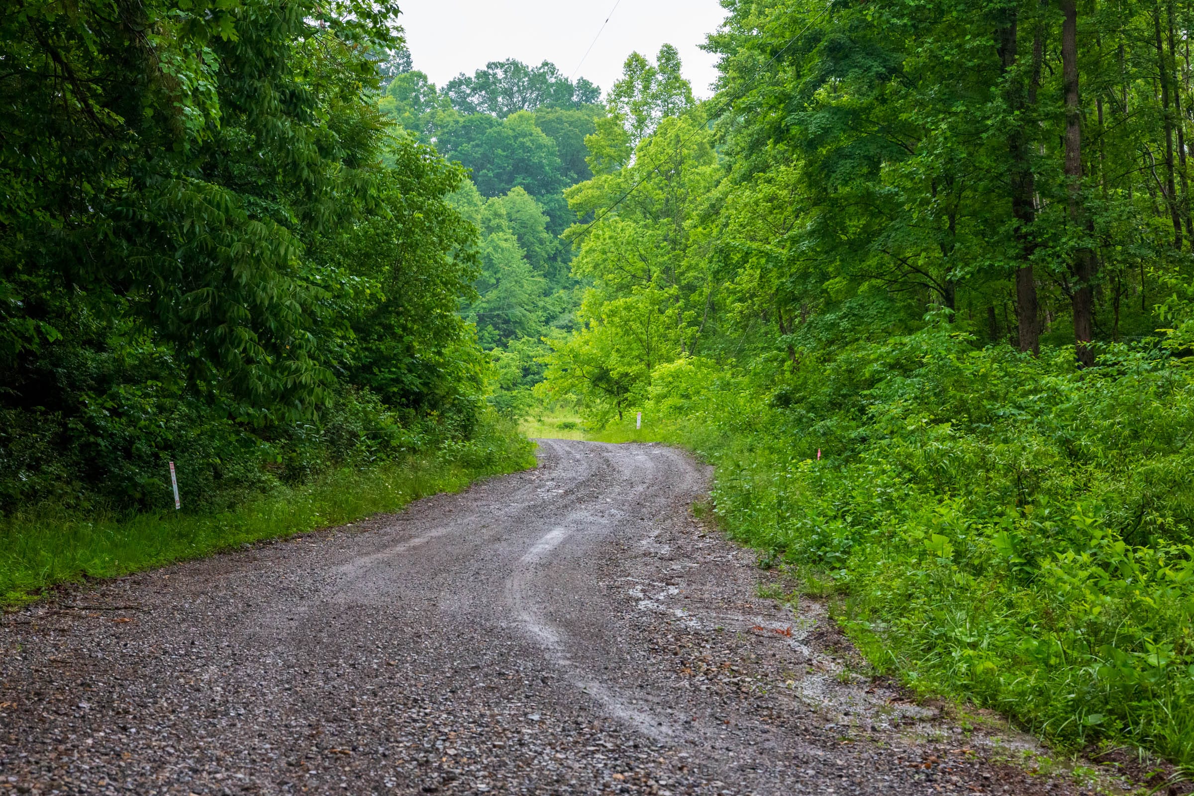 Bluffview Tract 8 photo 15