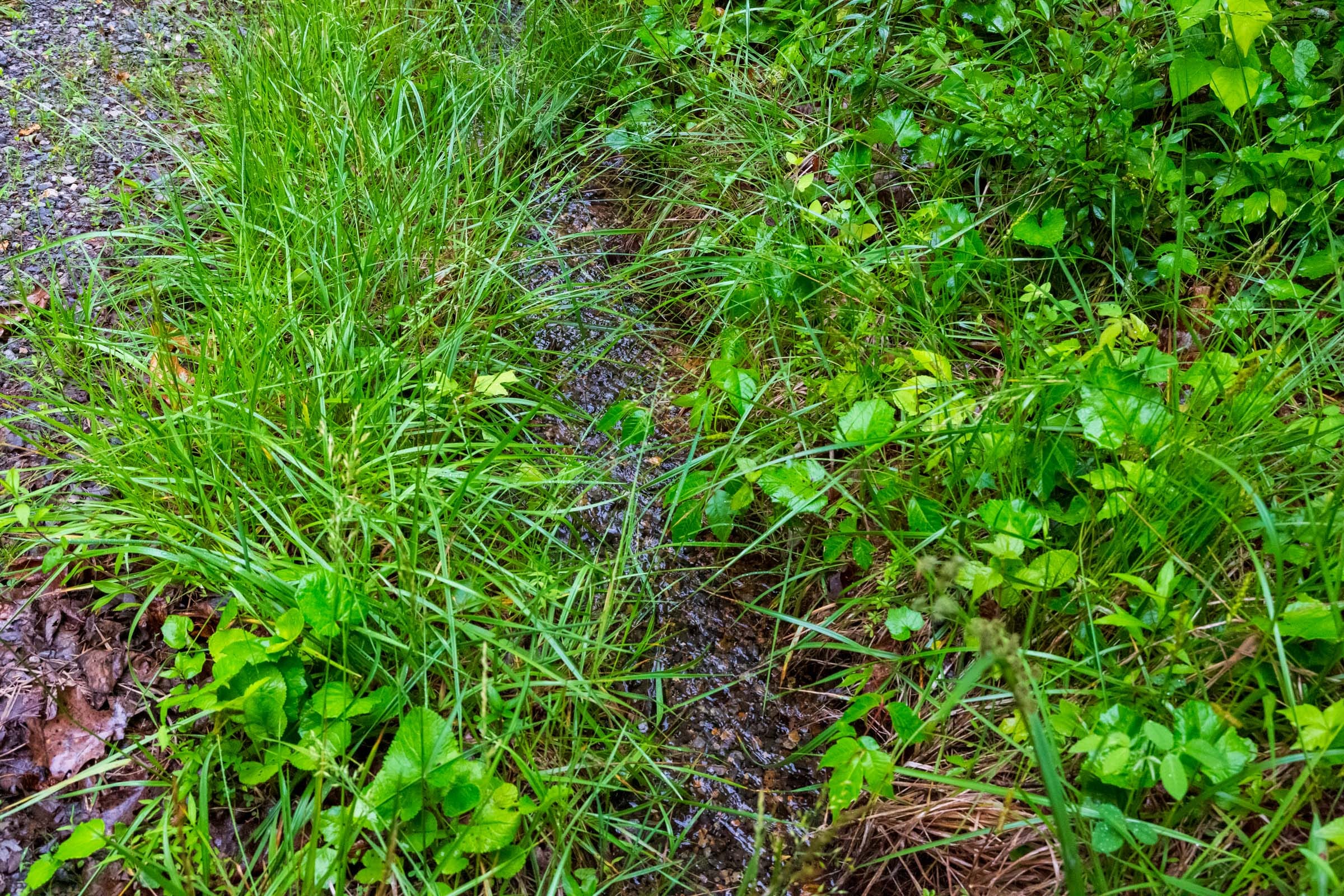 Bluffview Tract 8 photo 17