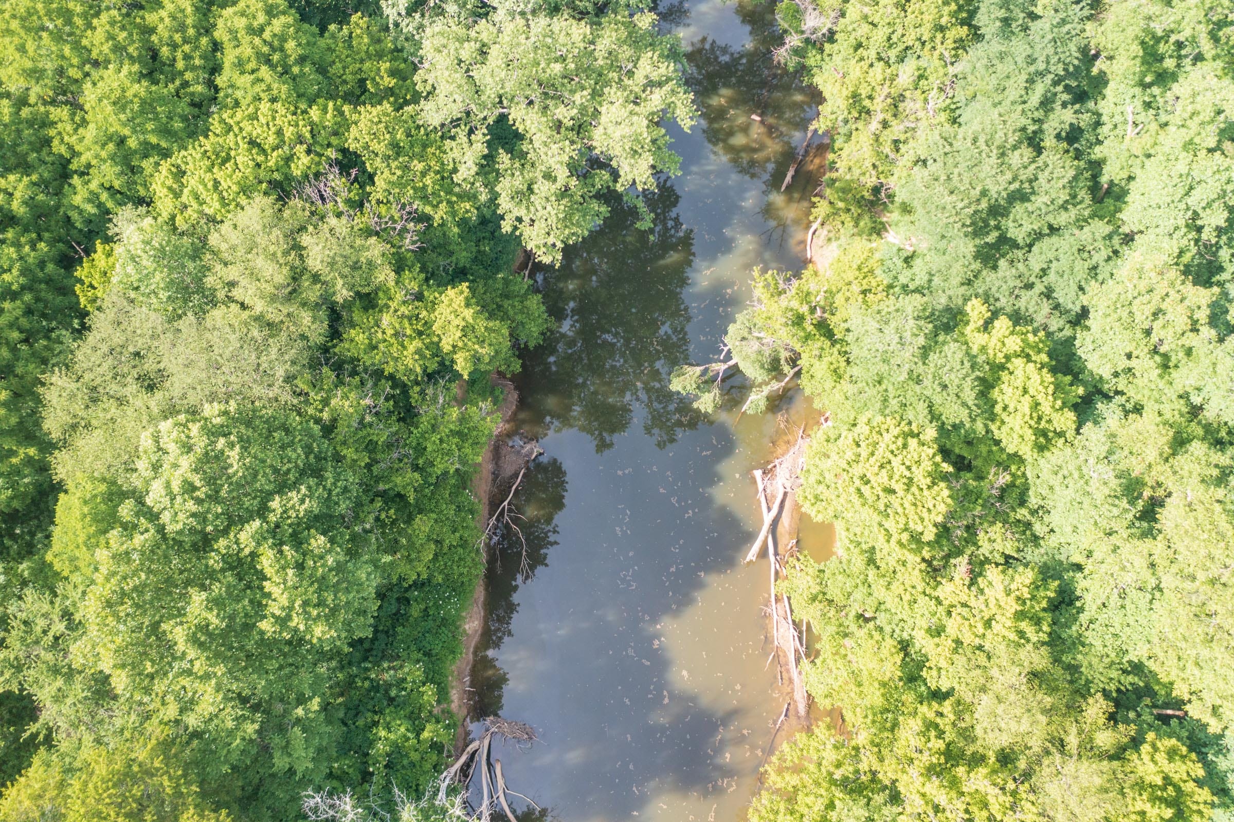 River’s Edge Tract 5 photo 3